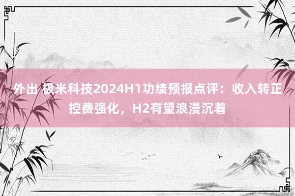 外出 极米科技2024H1功绩预报点评:收入转正控费强化,H2有望浪漫沉着