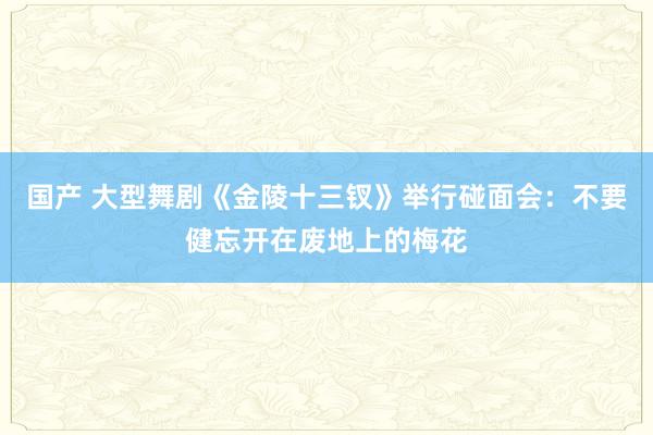 国产 大型舞剧《金陵十三钗》举行碰面会：不要健忘开在废地上的梅花