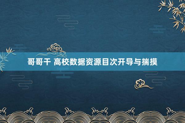 哥哥干 高校数据资源目次开导与揣摸