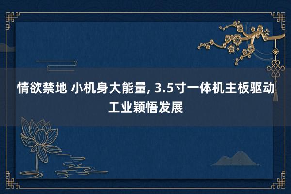 情欲禁地 小机身大能量， 3.5寸一体机主板驱动工业颖悟发展