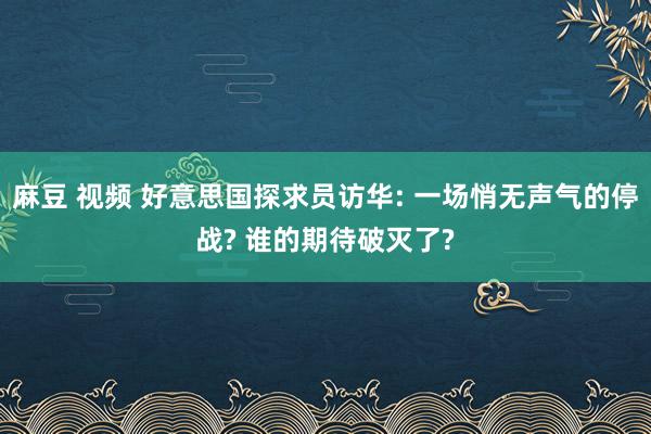 麻豆 视频 好意思国探求员访华: 一场悄无声气的停战? 谁的期待破灭了?