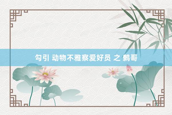 勾引 动物不雅察爱好员 之 鹩哥