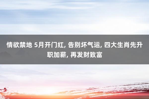 情欲禁地 5月开门红， 告别坏气运， 四大生肖先升职加薪， 再发财致富