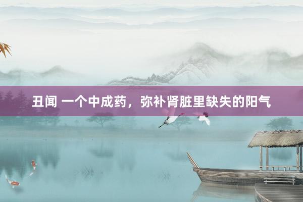 丑闻 一个中成药，弥补肾脏里缺失的阳气