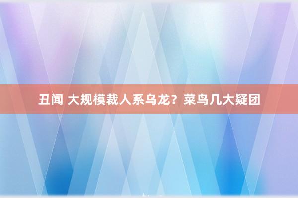丑闻 大规模裁人系乌龙？菜鸟几大疑团